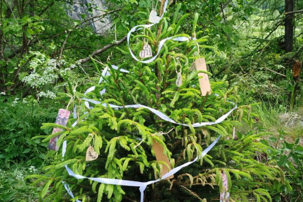 officiante-mariage-laique-suisse